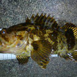 型も数もイイ感じでした！