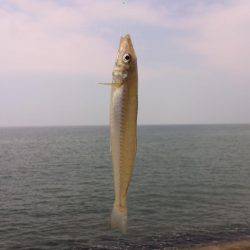 エギングの帰りに