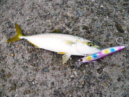 超サイズダウン