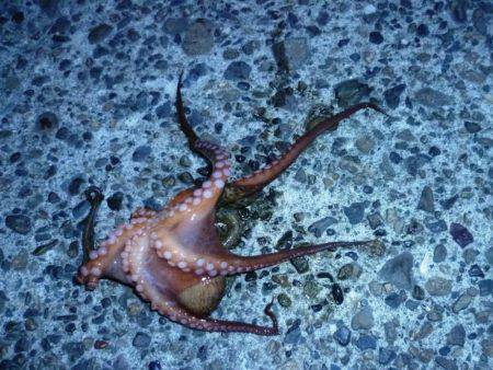 仕事帰りにちょっと...