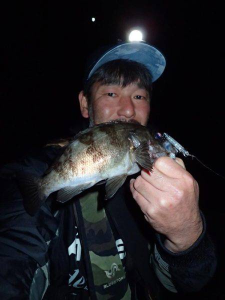 メバル終盤の追い込み!