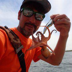 五目タコエギｄｅタコ