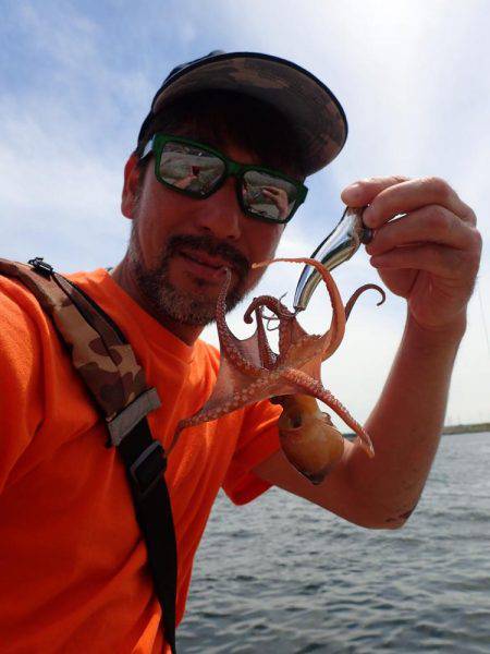 五目タコエギｄｅタコ