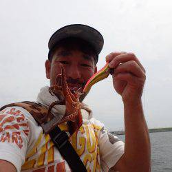 五目タコエギdeタコ♪