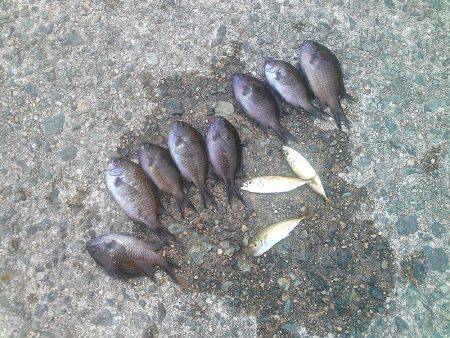 子供とお散歩フィッシング