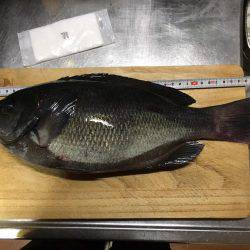 浜吉丸でいく小浦一文字３