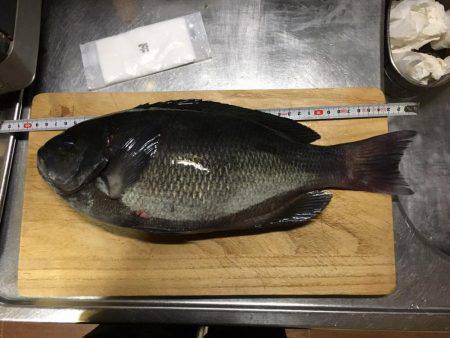 浜吉丸でいく小浦一文字３