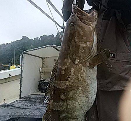 光義丸：2017年６/２４(土) 最新大物…