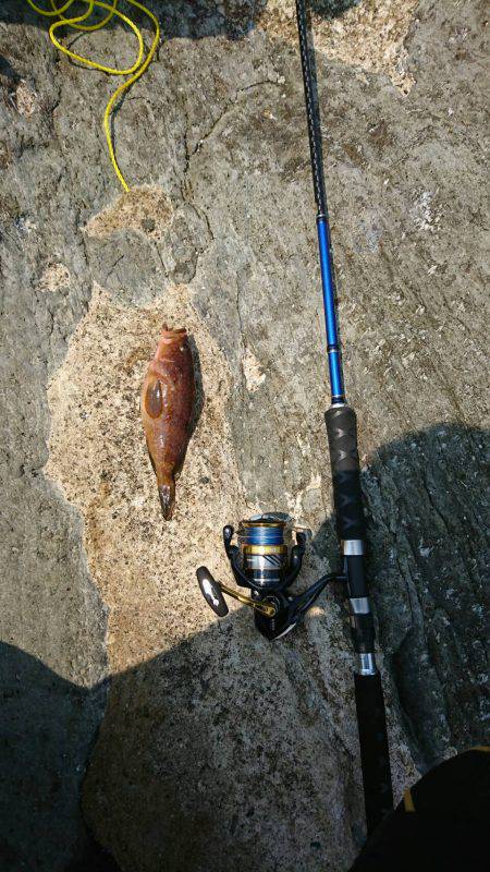 ショアスローで