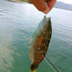 引本市場前にて