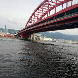 ツバス祭りもう終盤？