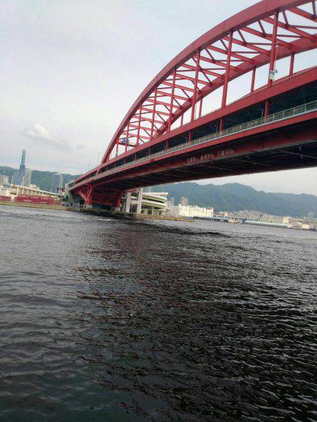 ツバス祭りもう終盤？