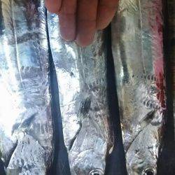 接岸のタイミング次第