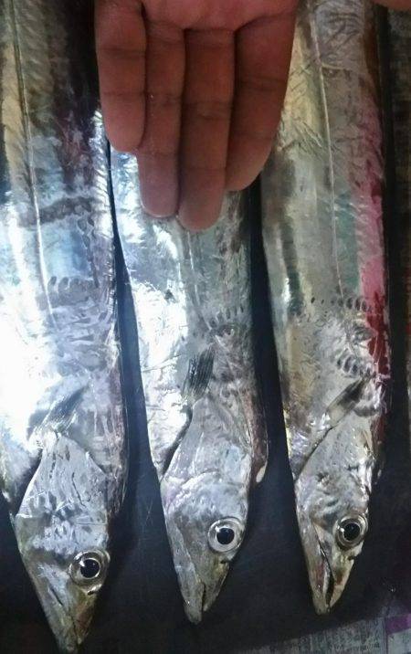 接岸のタイミング次第