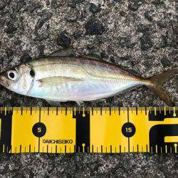 ん？ツバスは？