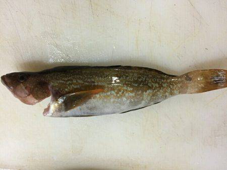 大荒れ後の。。。