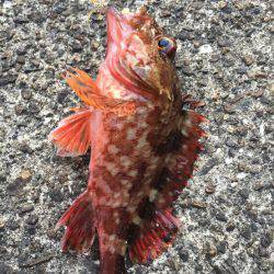 南風が強かった～!!