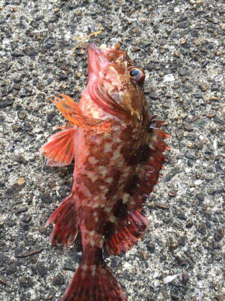 南風が強かった～!!