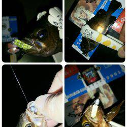 ６月９日はロックナイト？(笑)