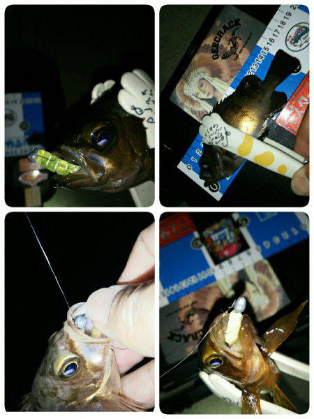 ６月９日はロックナイト？(笑)