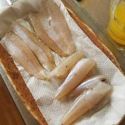 キッスはまだか