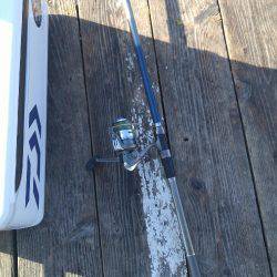 釣り堀　岬にて。