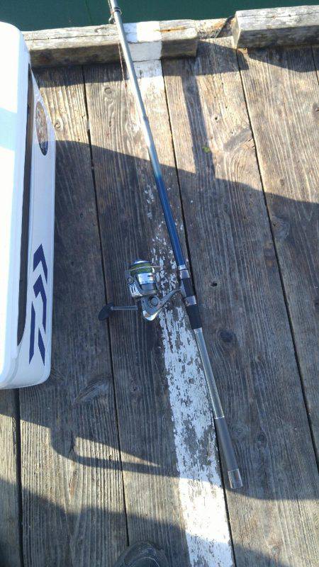 釣り堀　岬にて。