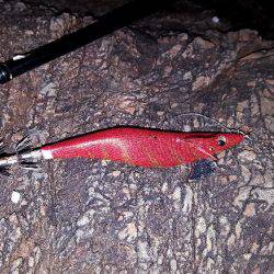 7連敗からの1杯