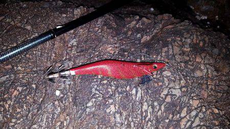 7連敗からの1杯