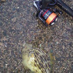 遠征その2。。。