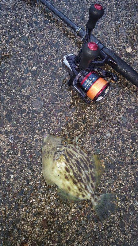 遠征その2。。。