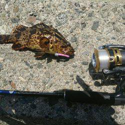 日中に穴釣り！