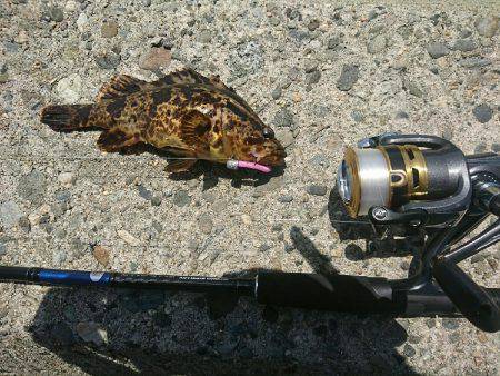 日中に穴釣り！