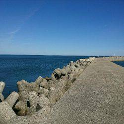 日中メバリング