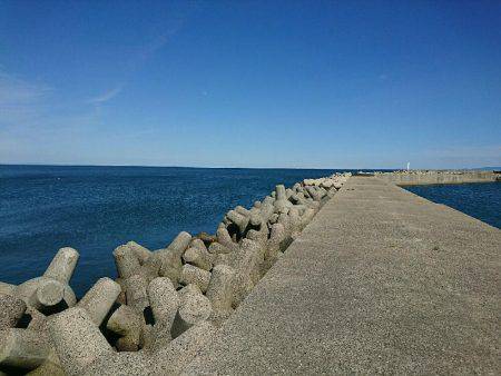 日中メバリング