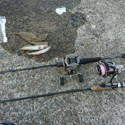 ライトゲームでキス