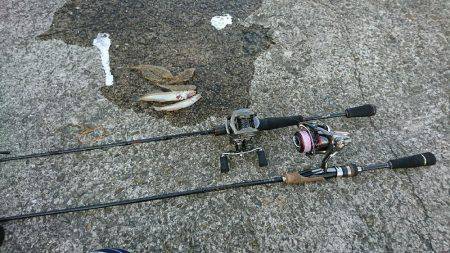 ライトゲームでキス