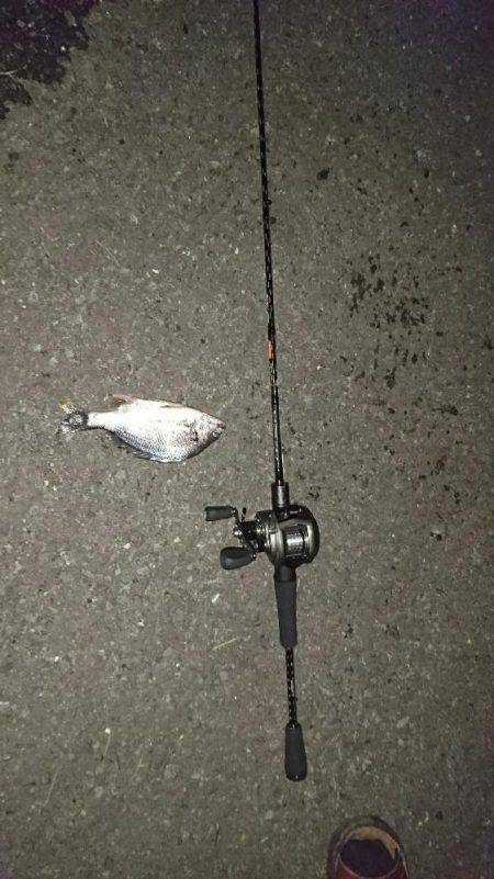 ULBFK(ウルトラライトベイトフィネスキ…