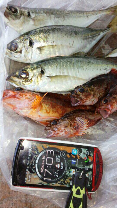 がつんと、当たりました。