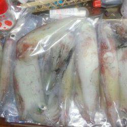 悪天候の中のイカ釣り