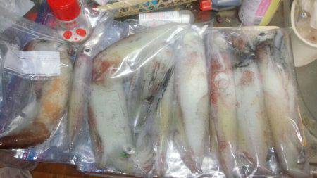 悪天候の中のイカ釣り