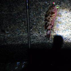 新規開拓で・・・