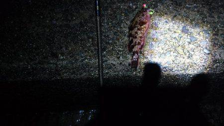 新規開拓で・・・