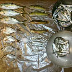 初ツバスゲット！