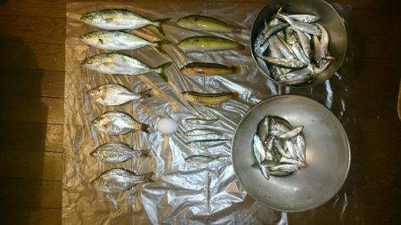 初ツバスゲット！