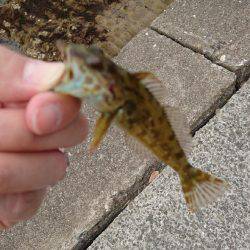 ただ投げたくて