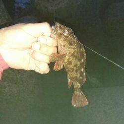 初めての穴釣り