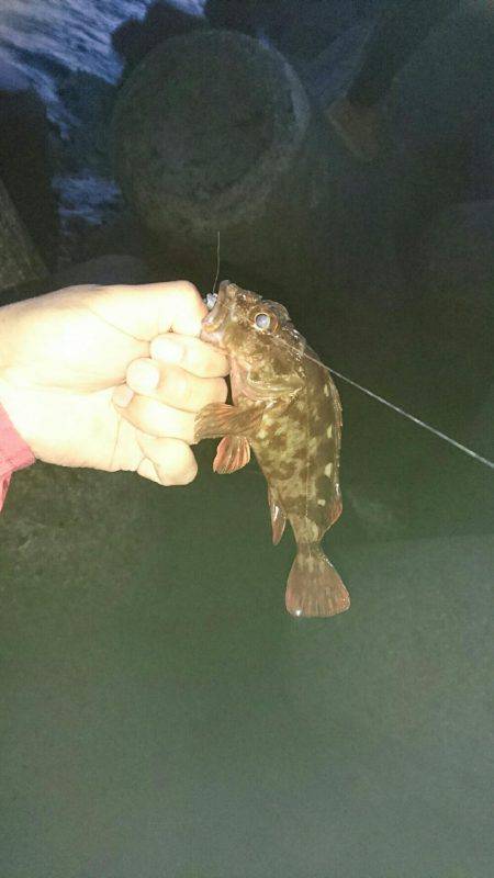 初めての穴釣り