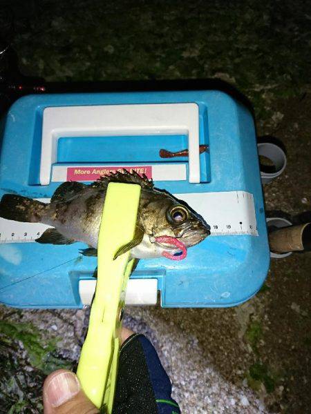 サーフのライトゲーム