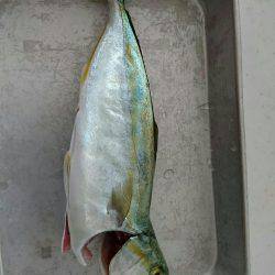 ショアジギング